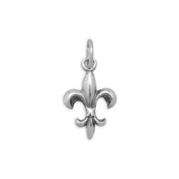 Thumbnail for Fleur de Lis Charm