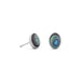 Abalone Shell Stud Earrings