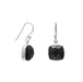 Faceted Black Onyx French Wire Earrings