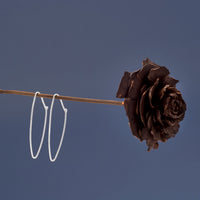 Thumbnail for Thin Oval Wire Hoops