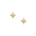 Sweet Stars! 14 Karat Gold Plated CZ Star Stud Earrings