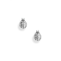 Thumbnail for Oxidized Ladybug Stud Earrings
