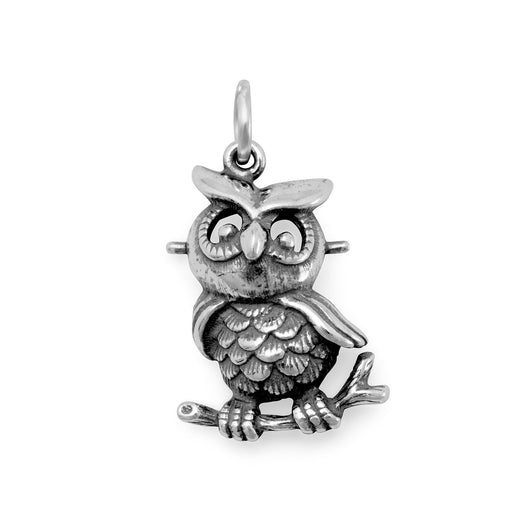 "So HOOTiful!" Oxidized Owl Charm