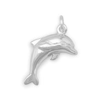Thumbnail for Dolphin Charm