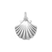 Clam Shell Charm