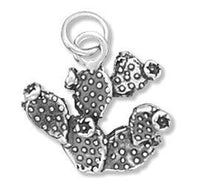 Thumbnail for Prickly Pear Cactus Charm