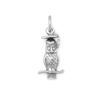 Thumbnail for Wise Owl Charm