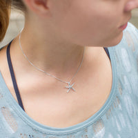 Thumbnail for Starfish Slide