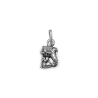 Thumbnail for Oxidized Chipmunk Charm