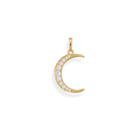 Thumbnail for Be Bright! 14 Karat Gold Plated CZ Crescent Moon Pendant