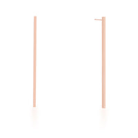 Thumbnail for Carolee Rose Gold Stainless Steel Long Line Drop Earrings