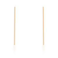 Thumbnail for Carolee Gold Stainless Steel Line Drop Earrings