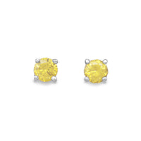 Thumbnail for November Birthstone Stud Earrings