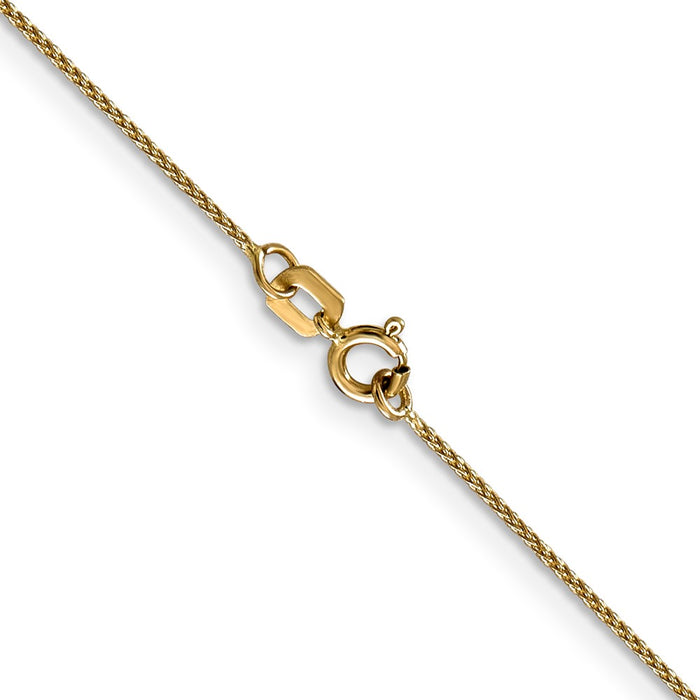 14k .65mm D/C Spiga with Spring Ring Clasp Chain