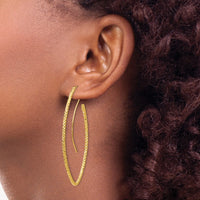 Thumbnail for 14ky Textured Oval French Wire Earrings