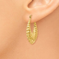Thumbnail for 14k Polished Scalloped Hollow Hoop Earrings