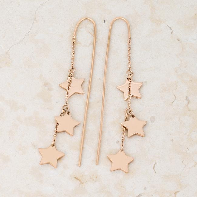 Reina Rose Gold Stainless Steel Delicate Star Threaded Drop Earrings Earrings JGI   