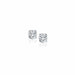 14k White Gold Diamond Four Prong Stud Earrings (1/4 cttw) Earrings Angelucci Jewelry   