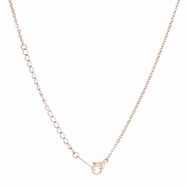 Cathy 0.2ct CZ Rose Gold Stainless Steel Drop Nail Necklace Necklaces JGI   