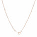 Cathy 0.2ct CZ Rose Gold Stainless Steel Drop Nail Necklace Necklaces JGI   